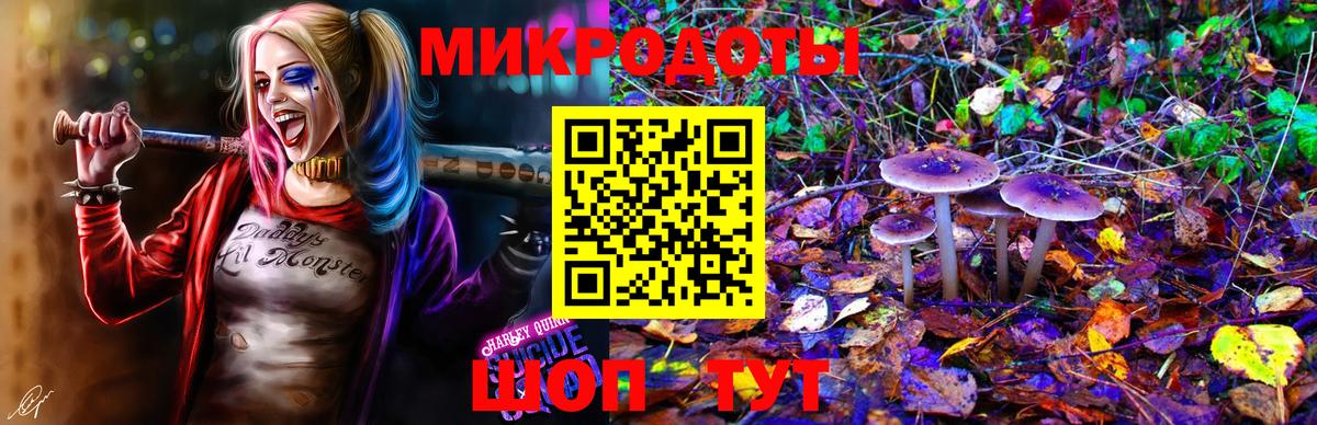 Псилоцибиновые грибы GOLDEN TEACHER Красноармейск