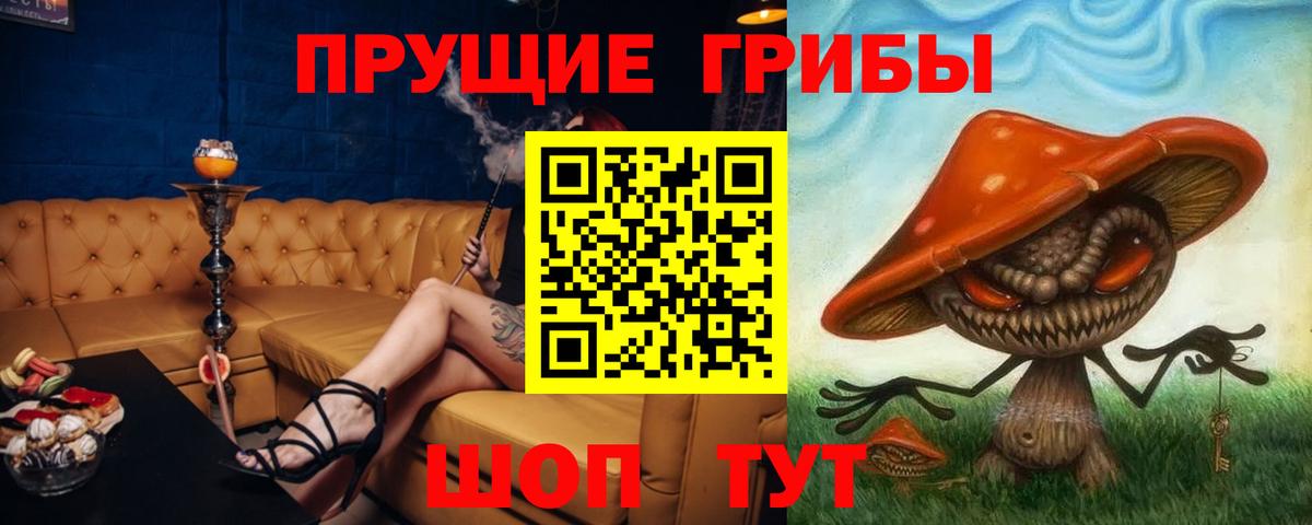 Красноармейск  Галлюциногенные грибы Psilocybe  Вход с VPN 